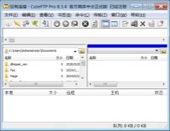 CuteFTP Pro 8.3.4 中文官方正式版